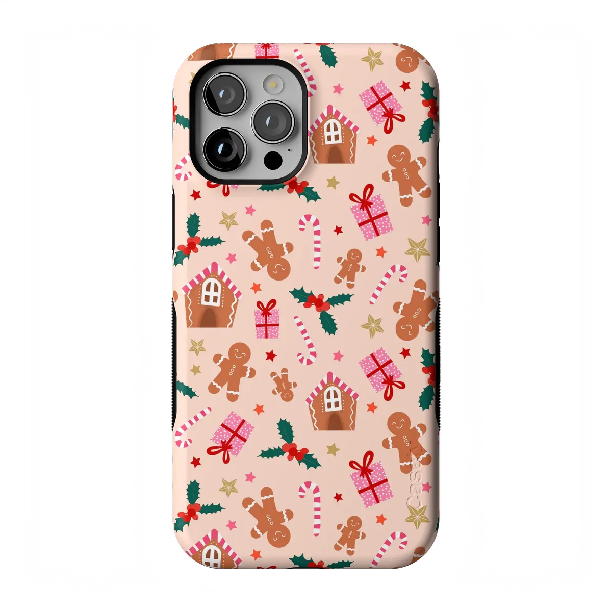 Frosted Wishes | Sweet Treat Case - Image 81