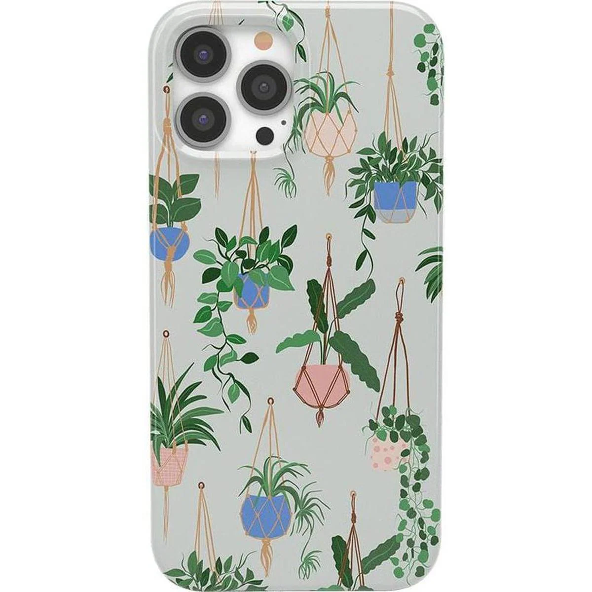 Hanging Around | Potted Plants Floral Case - Image 12