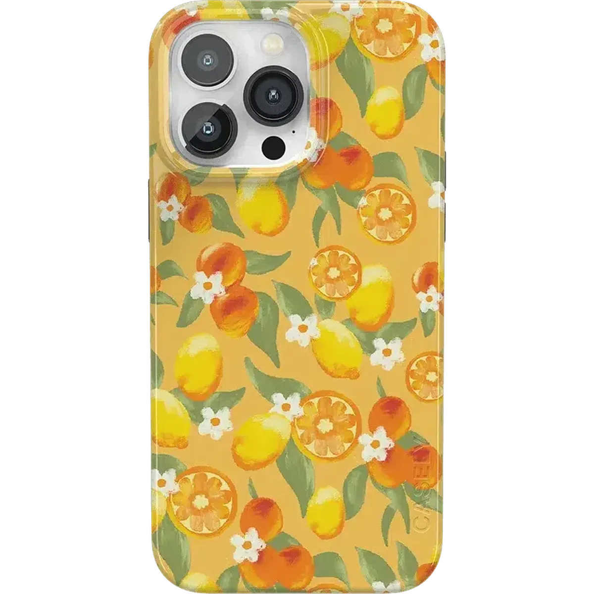 Positano | Dippin' Daisy's Italian Coast Case - Image 11