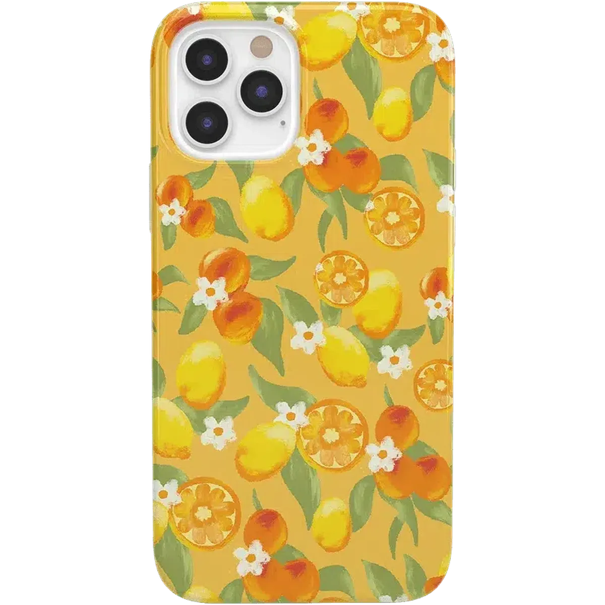 Positano | Dippin' Daisy's Italian Coast Case - Image 26